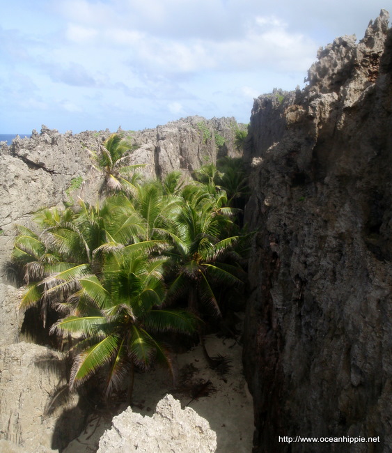 Thumbnail Photo